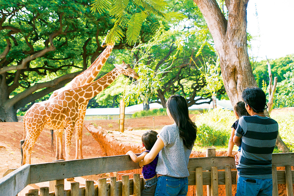 ホノルル動物園