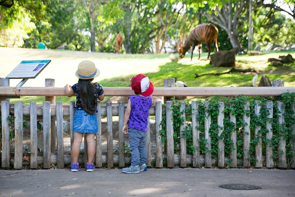 ハワイの動物園