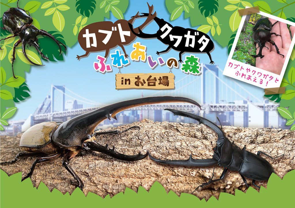 カブト・クワガタふれあいの森 in お台場（東京都/港区）