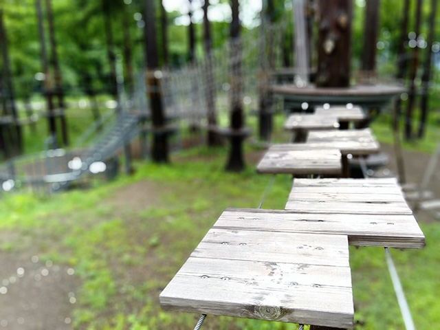 ロッテアライリゾート（新潟県/妙高市）