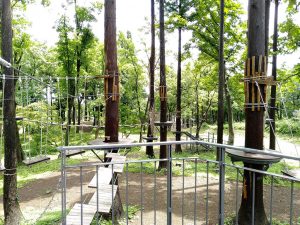 日本最大級のツリーアドベンチャーをルポ!アスレチック満載のロッテアライリゾート