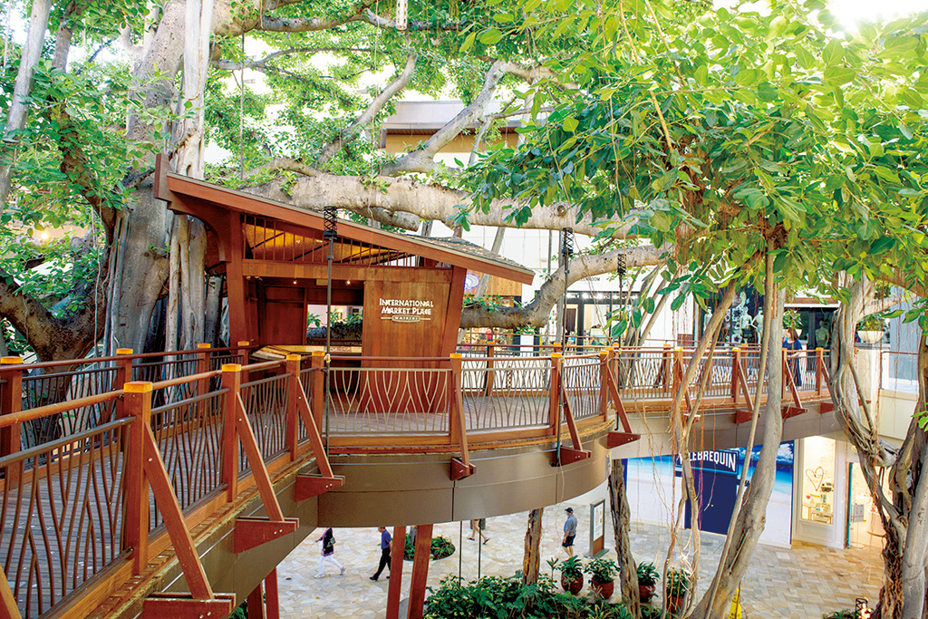 ココ・コーヴ（ハワイ）