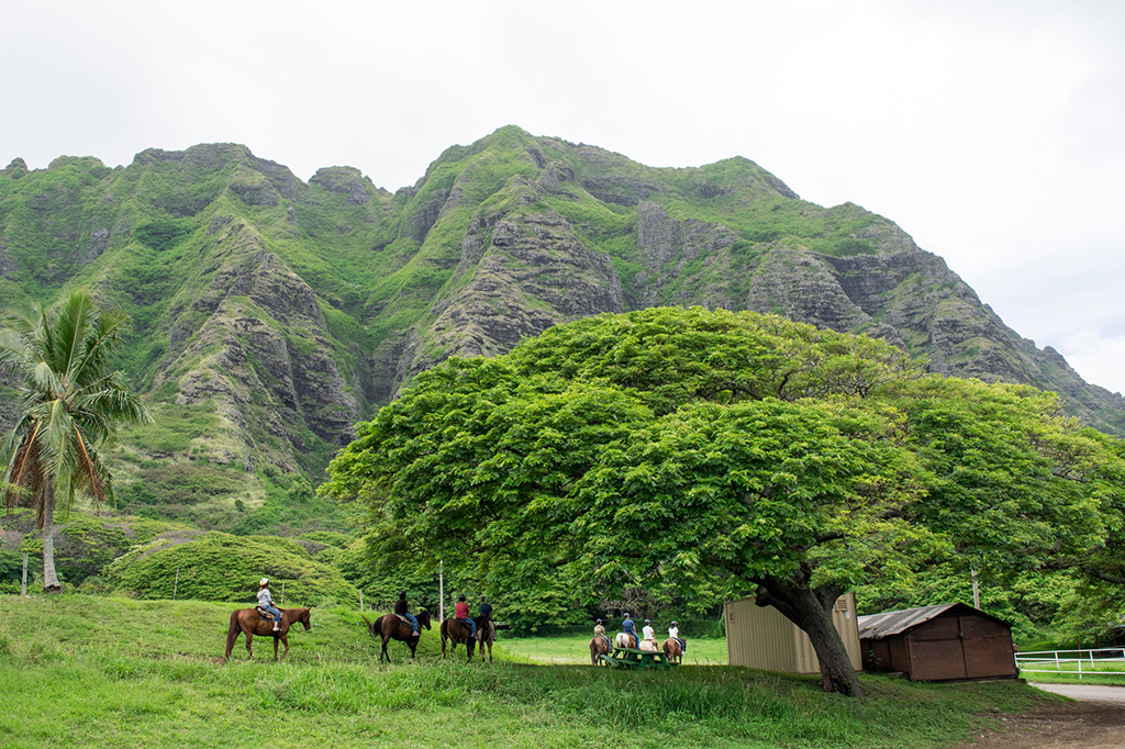 クアロア・ランチ（ハワイ）