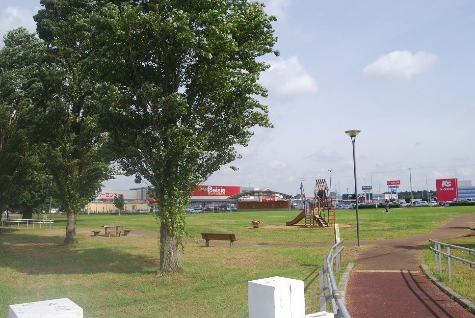 新木戸大銀杏公園(千葉県/富里市)