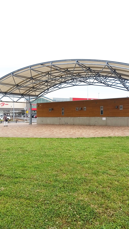 新木戸大銀杏公園(千葉県/富里市)