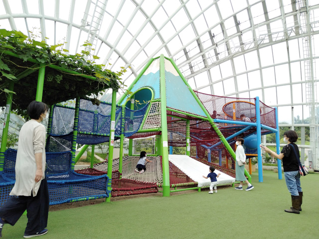 「わんぱくドーム」のアスレチック/山梨県笛吹川 フルーツ公園