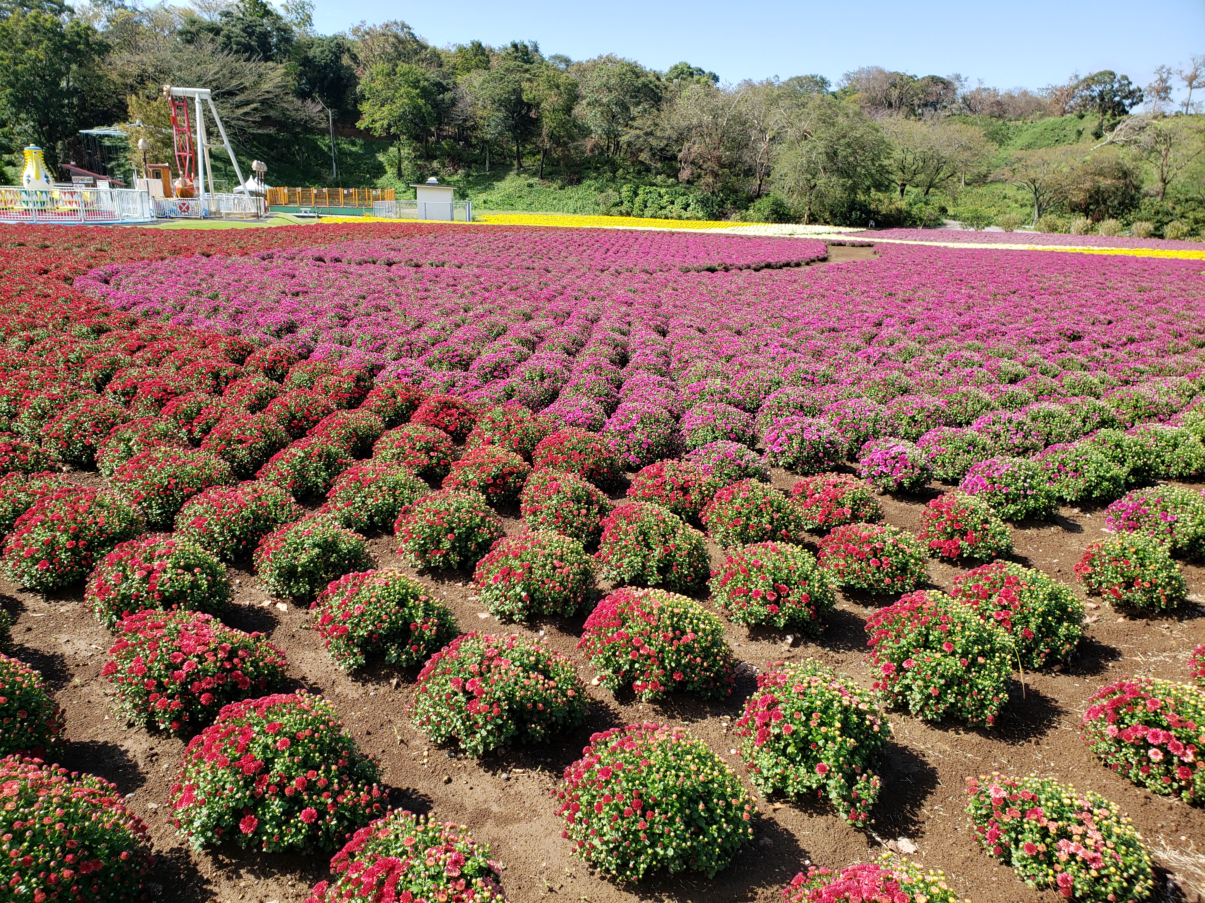 東京ドイツ村（千葉県/袖ケ浦市）
