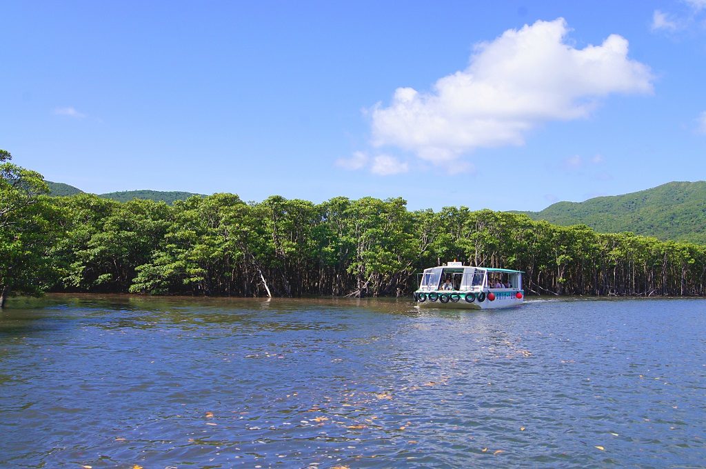 [キッズ編]石垣島の家族旅行2泊3日モデルコース！西表島でクルーズや水牛車も