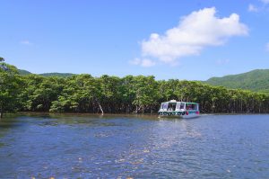 [キッズ編]石垣島の家族旅行2泊3日モデルコース！西表島でクルーズや水牛車も