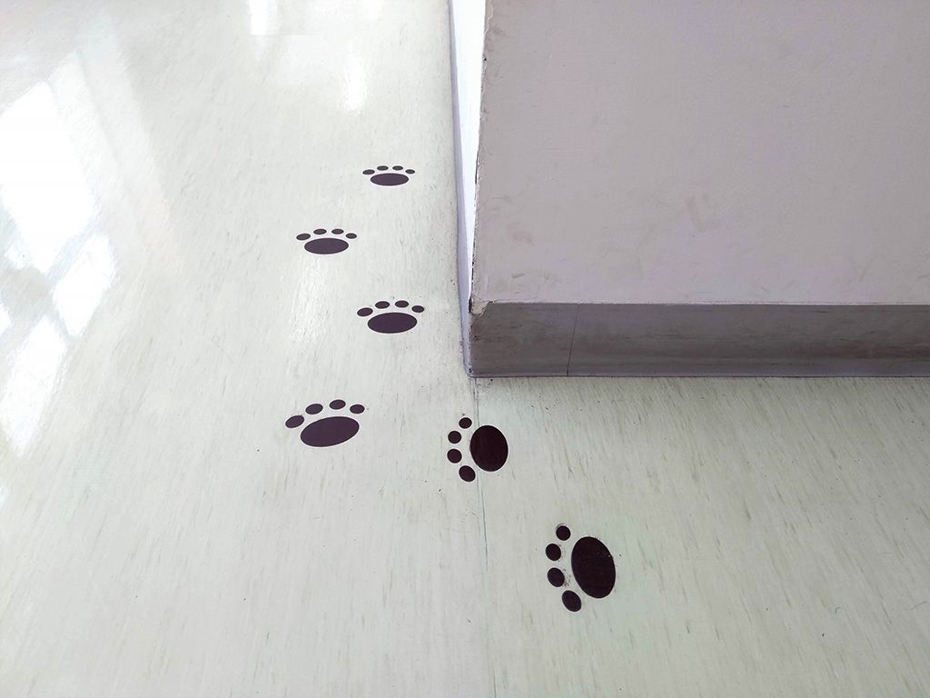 桔梗信玄餅工場テーマパーク館内の足跡（山梨県/笛吹市）