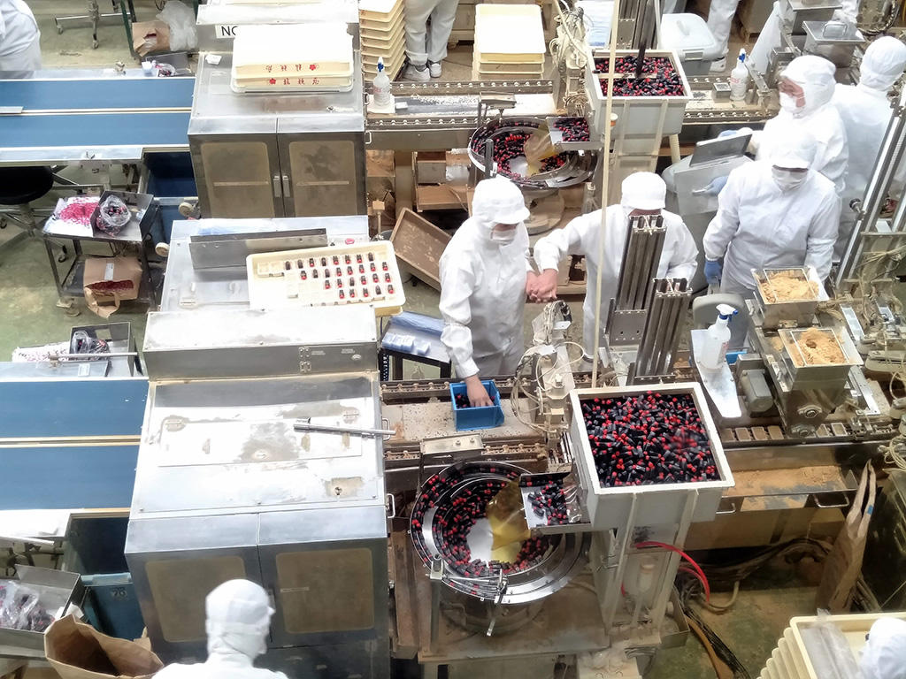 製造工程をガラス窓越しから見学/桔梗信玄餅工場テーマパーク（山梨県/笛吹市）