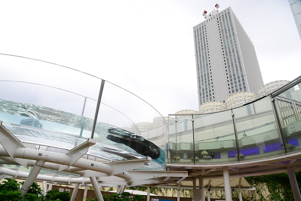 「天空の旅」ゾーン/サンシャイン水族館(東京都/豊島区)