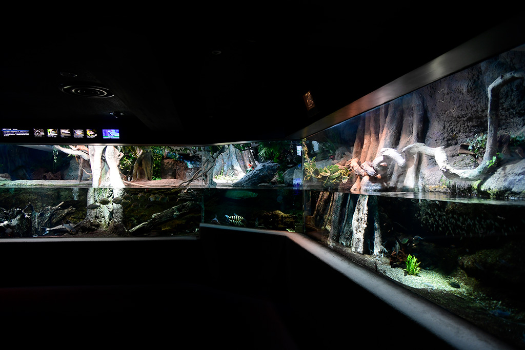 「水辺の旅」ゾーン/サンシャイン水族館(東京都/豊島区)