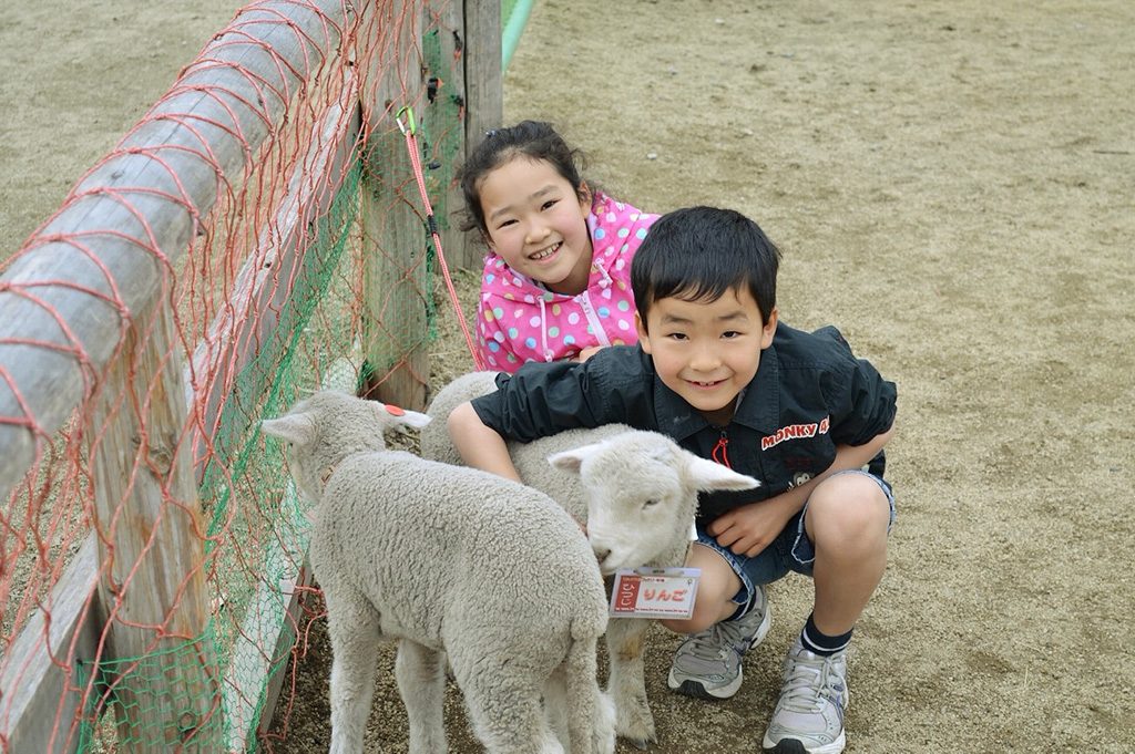 羊の赤ちゃんと子ども/山梨県立まきば公園（山梨県/北杜市）