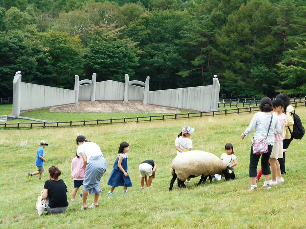 ヒツジとふれあう様子/山梨県立まきば公園（山梨県/北杜市）