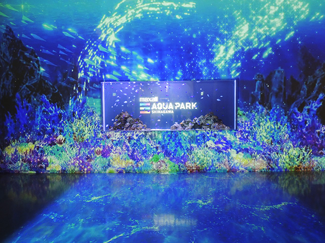 パークエントランス/マクセル アクアパーク品川(東京都/港区)