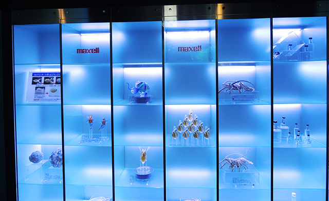 ライフミュージアム/マクセル アクアパーク品川(東京都/港区)