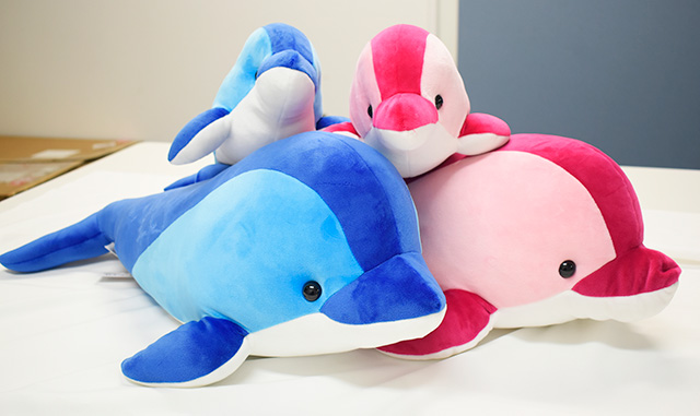 品川もっちりイルカ/マクセル アクアパーク品川(東京都/港区)