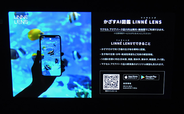 「かざすAI図鑑 リンネレンズ」/マクセル アクアパーク品川(東京都/港区)