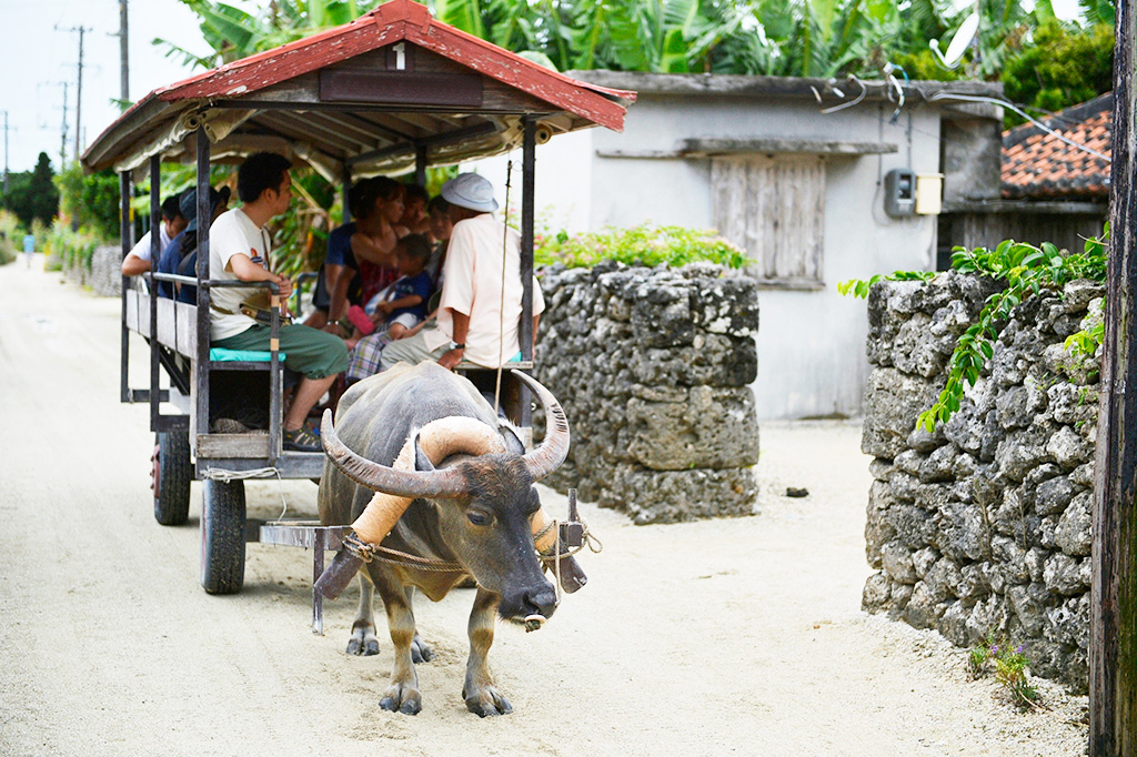 沖縄県竹富町の水牛車