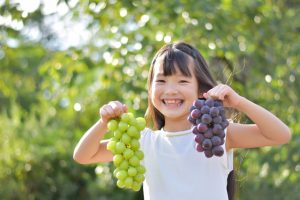 山梨県の秋の味覚&果物狩りスポット25選!ぶどう狩り・りんご狩りなど
