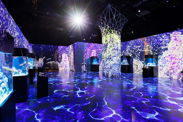 マジカルグラウンド/マクセル アクアパーク品川(東京都/港区)