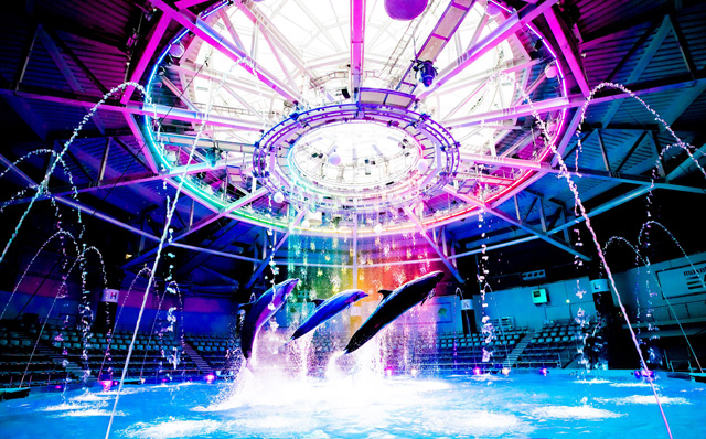 ドルフィンパフォーマンス ナイトバージョン/マクセル アクアパーク品川(東京都/港区)