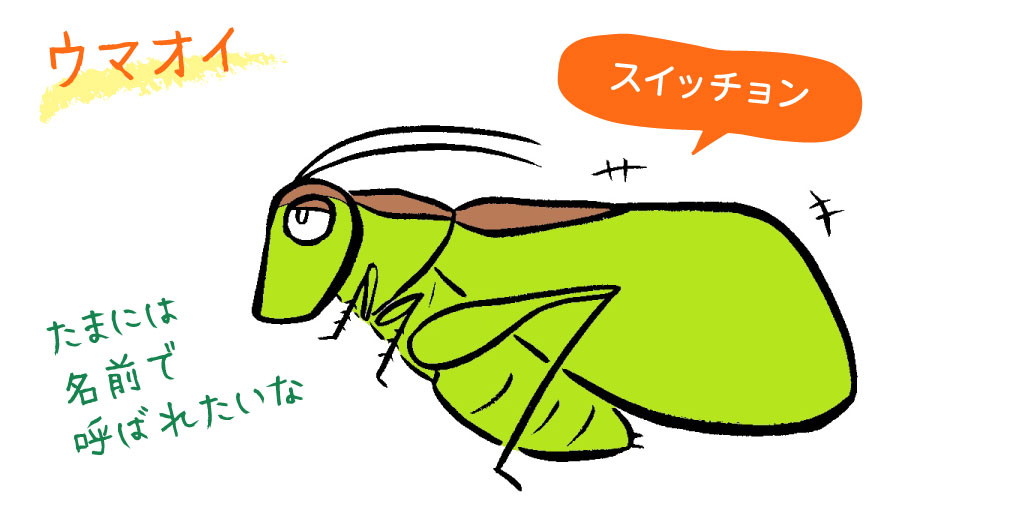 ウマオイ／秋の昆虫採集！スズムシ&コオロギ