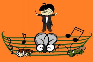 秋の昆虫採集！鳴く虫の季節はいつ？スズムシ&コオロギの採集から飼育まで