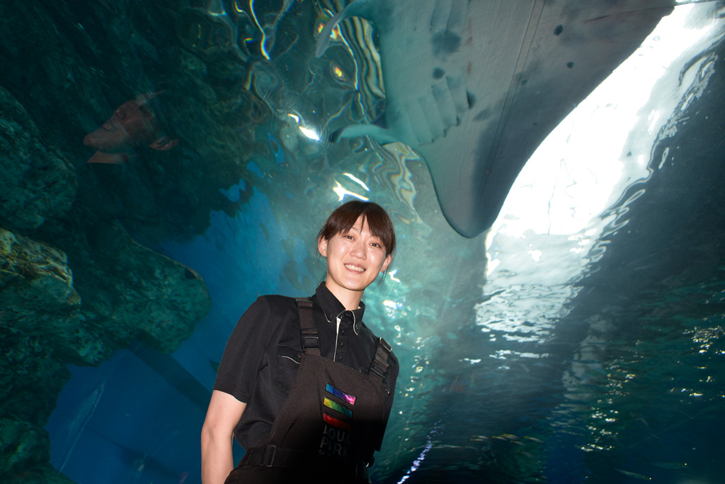 「マクセル アクアパーク品川」の飼育スタッフ・村山さん