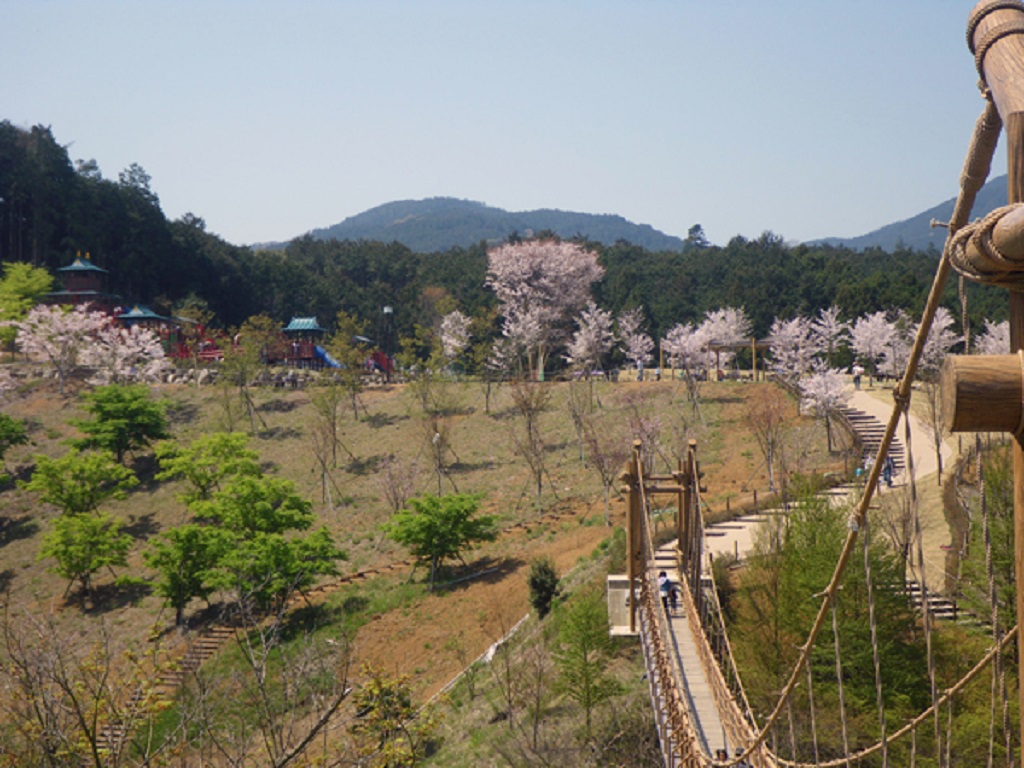 わんぱく大橋/小田原こどもの森公園わんぱくらんど(神奈川県/小田原市)