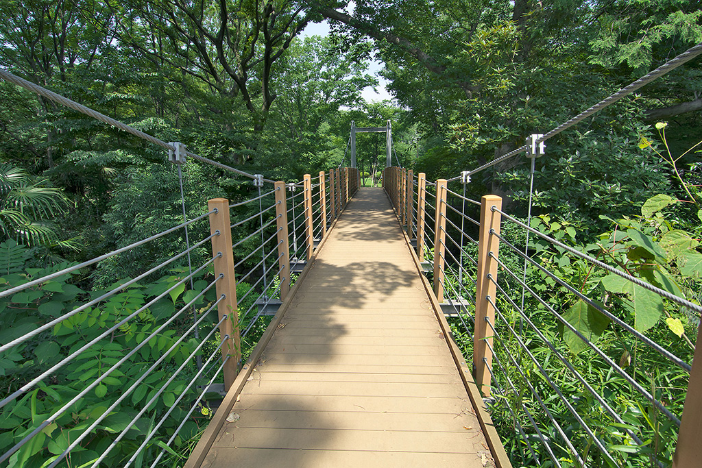 砧公園の吊り橋（東京都/世田谷区）