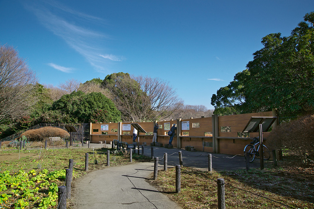 野鳥を観察できるバードサンクチュアリ/砧公園（東京都/世田谷区）