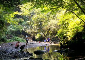 アスレチックやキャンプ、バーベキューも！大自然で遊ぶロマンの森共和国（千葉県君津市）
