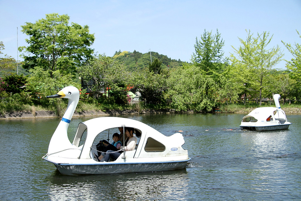 園内の湖を遊覧できる「スワンボート」/ロマンの森共和国(千葉県/君津市)