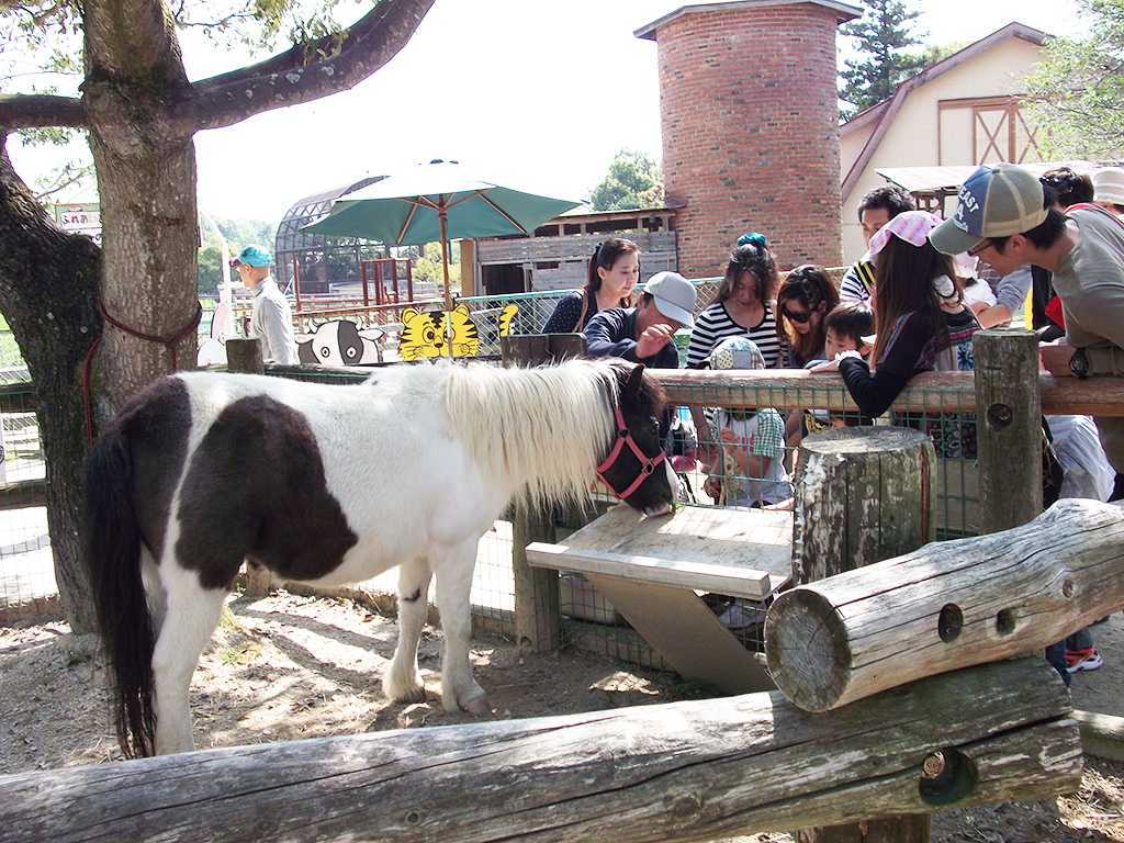 鞍ケ池公園の動物ふれあい広場(愛知県/豊田市)