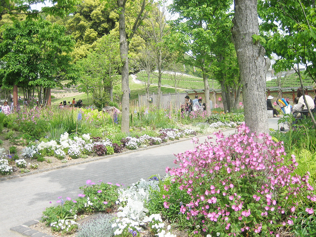 鞍ケ池公園(愛知県/豊田市)