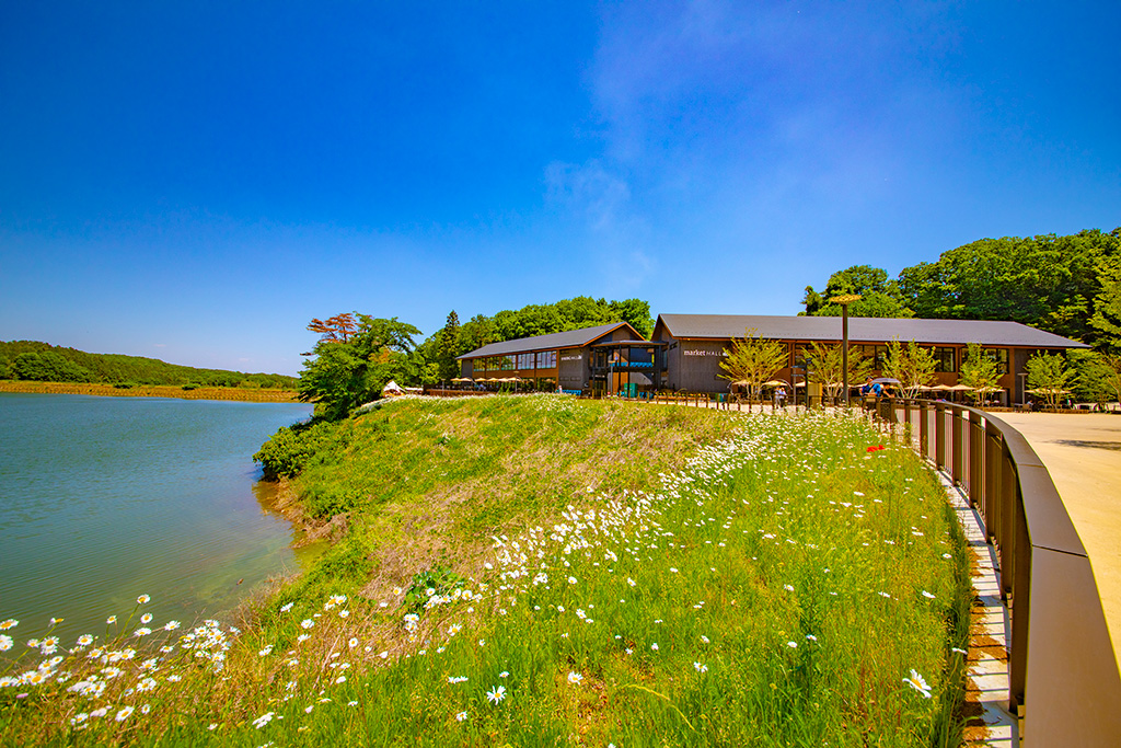 PANZA宮沢湖(埼玉県/飯能市)