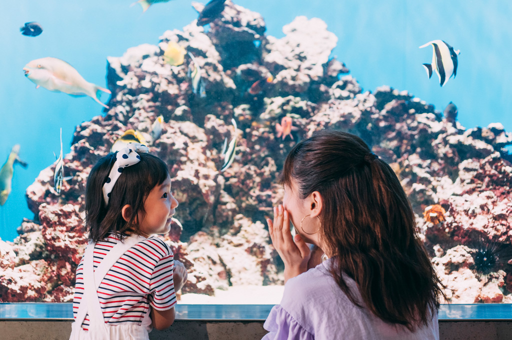 親子で楽しくSDGs(イメージ)/子どもの未来を守るSDGsとは