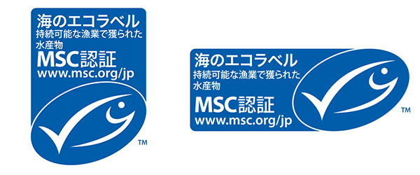 MSC 海のエコラベル/子どもの未来を守るSDGsとは