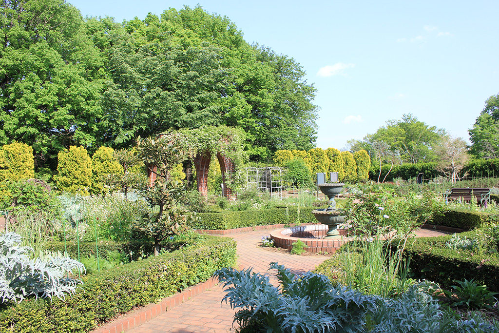 国営武蔵丘陵森林公園（埼玉県/滑川町）