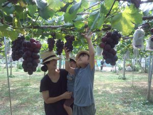 栃木県の秋の味覚&果物狩りスポット7選!ぶどう狩り・梨狩り・りんご狩りなど