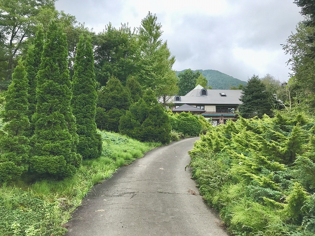 コニファー/やくらいガーデン（宮城県/加美町）
