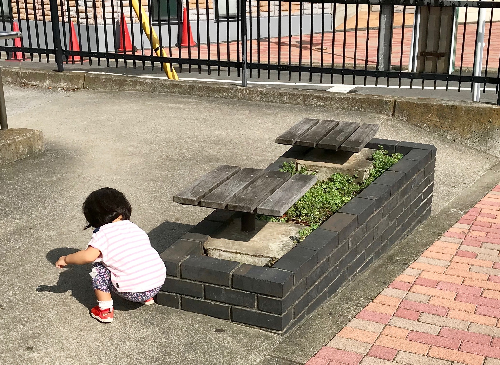 ゴミ拾い中の幼児