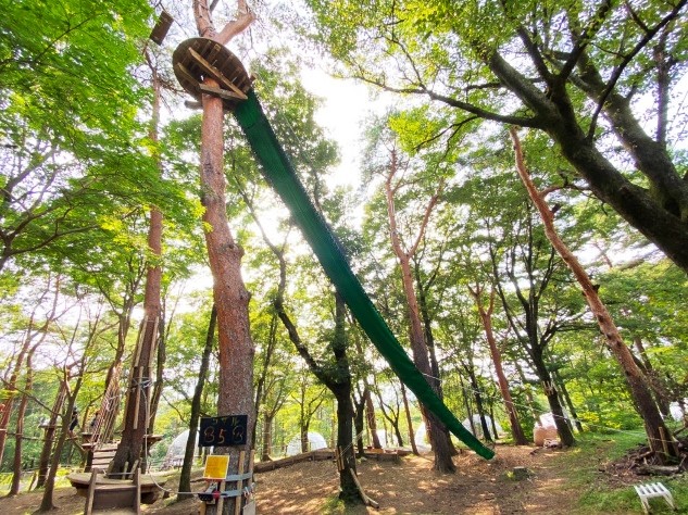 天然木使用の「空中スライダー」/NOZARU（栃木県/那須町）