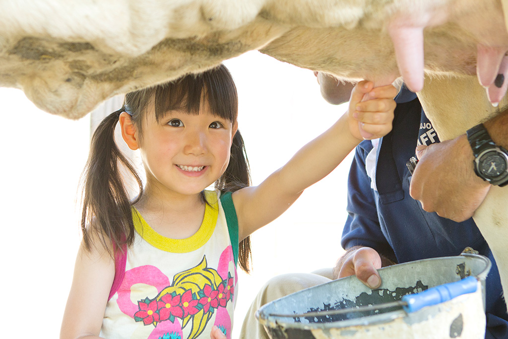 乳しぼり体験をする子ども/成田ゆめ牧場（千葉県/成田市