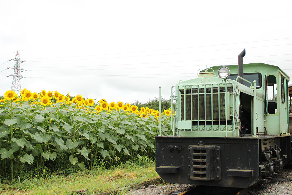 現役で活躍していたＳＬ/成田ゆめ牧場（千葉県/成田市