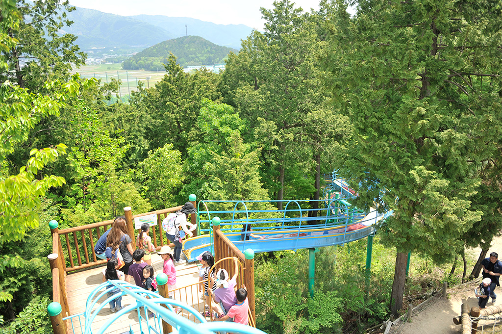滑り台で遊ぶ子ども達/グリーンパーク山東（滋賀県/米原市）
