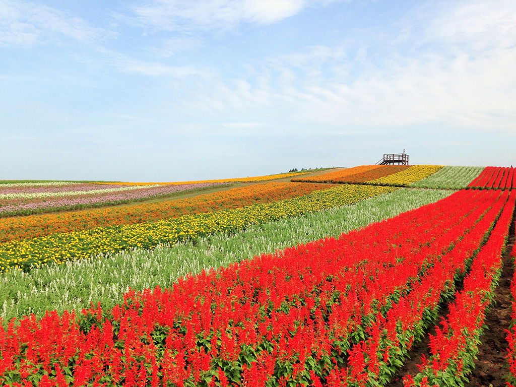 ふるるの丘/やくらいガーデン（宮城県/加美町）