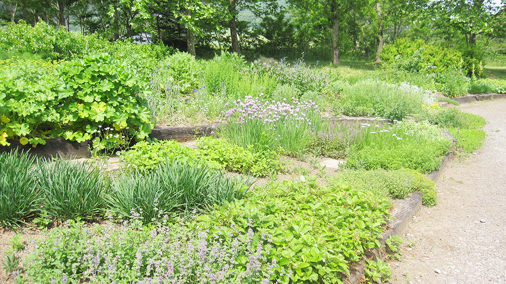 ハーブガーデン/やくらいガーデン（宮城県/加美町）